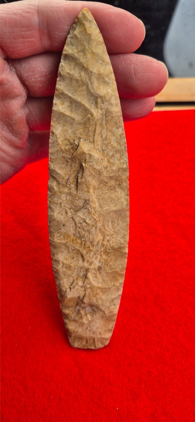 Authentic Huge Agate Basin Arrowhead - 6 3/4 Authentic Huge Agate Basin Arrowhead - 6 3/4