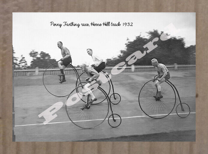 Historic Penny Farthing race, Herne Hill track 1932 Postcard