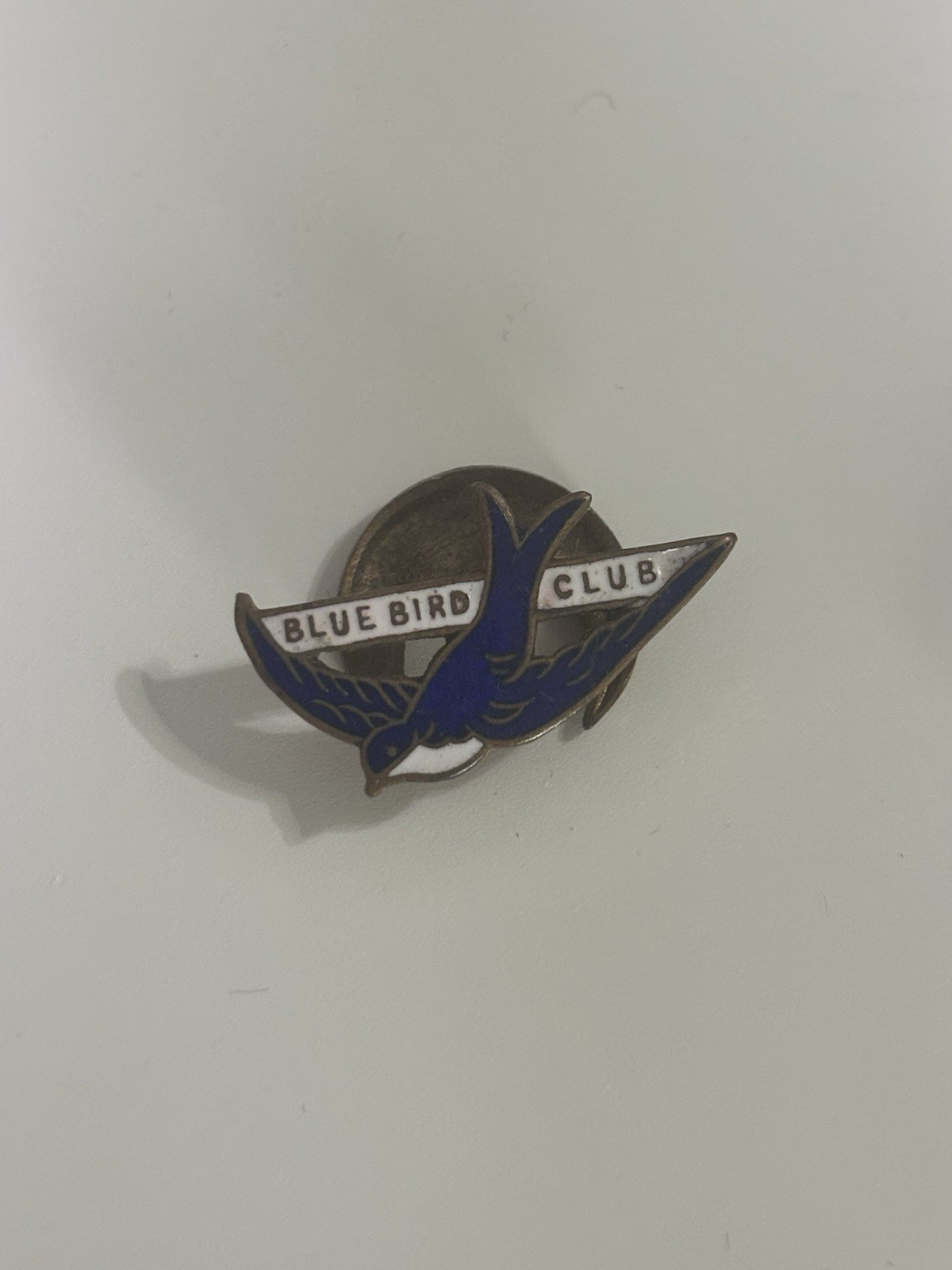 Vintage Blue Bird Club Enamel Badge Bird Design c.3cm Old Pin Badge