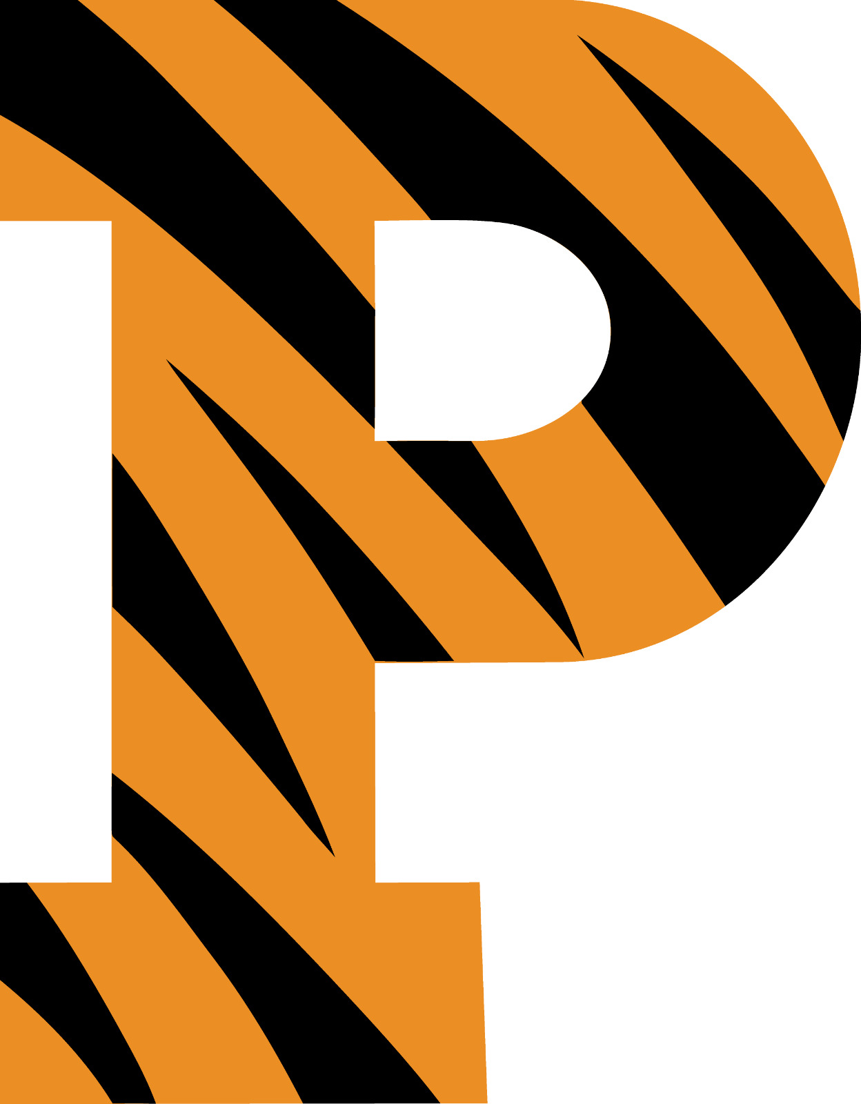 Princeton Tigers NCAA College Team Logo 4\