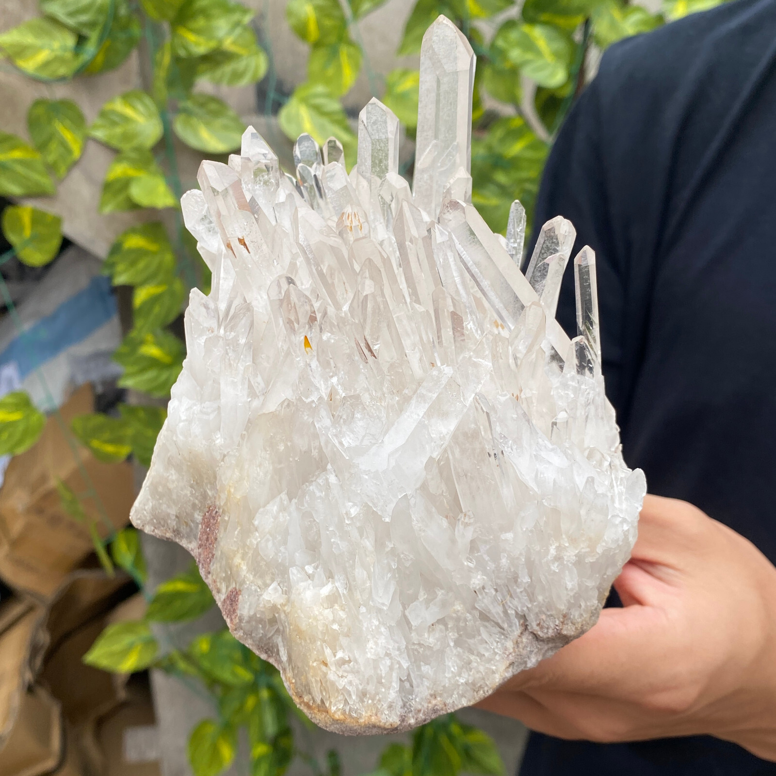 3.2LB A++Large Natural clear white Crystal Himalayan quartz cluster /mineralsls