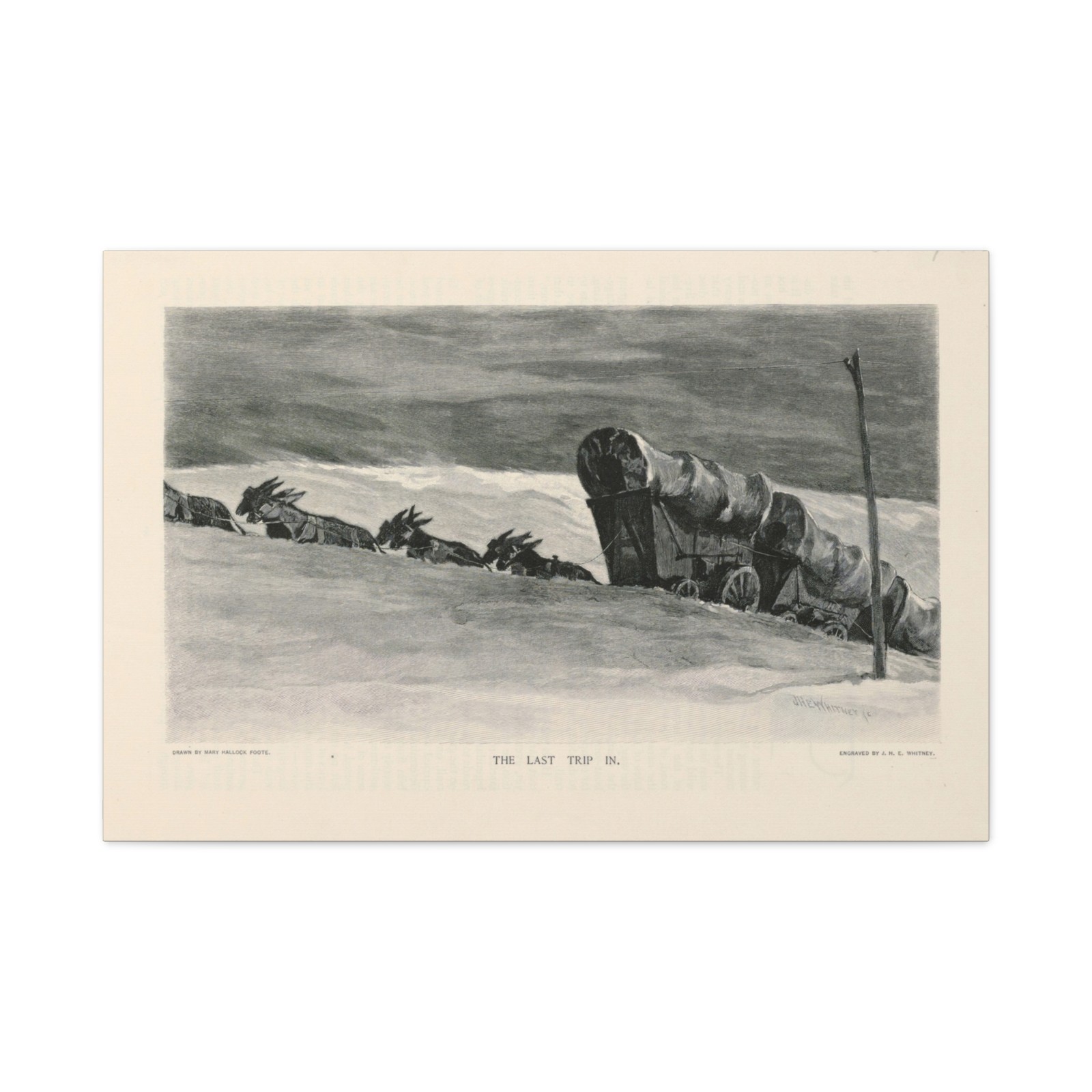 Mary A. Hallock Foote, American, - The Last Trip In - Canvas Wall Art