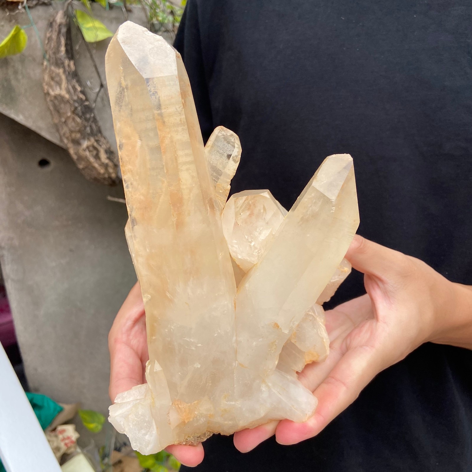 3.9LB A++Large Natural clear white Crystal Himalayan quartz cluster /mineralsls
