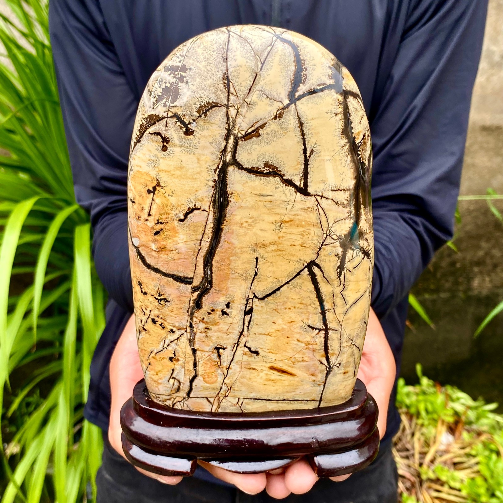 3.26LB Beautiful Natural Chinese Dendritic Limestone Picture Stone Guohua-Rare