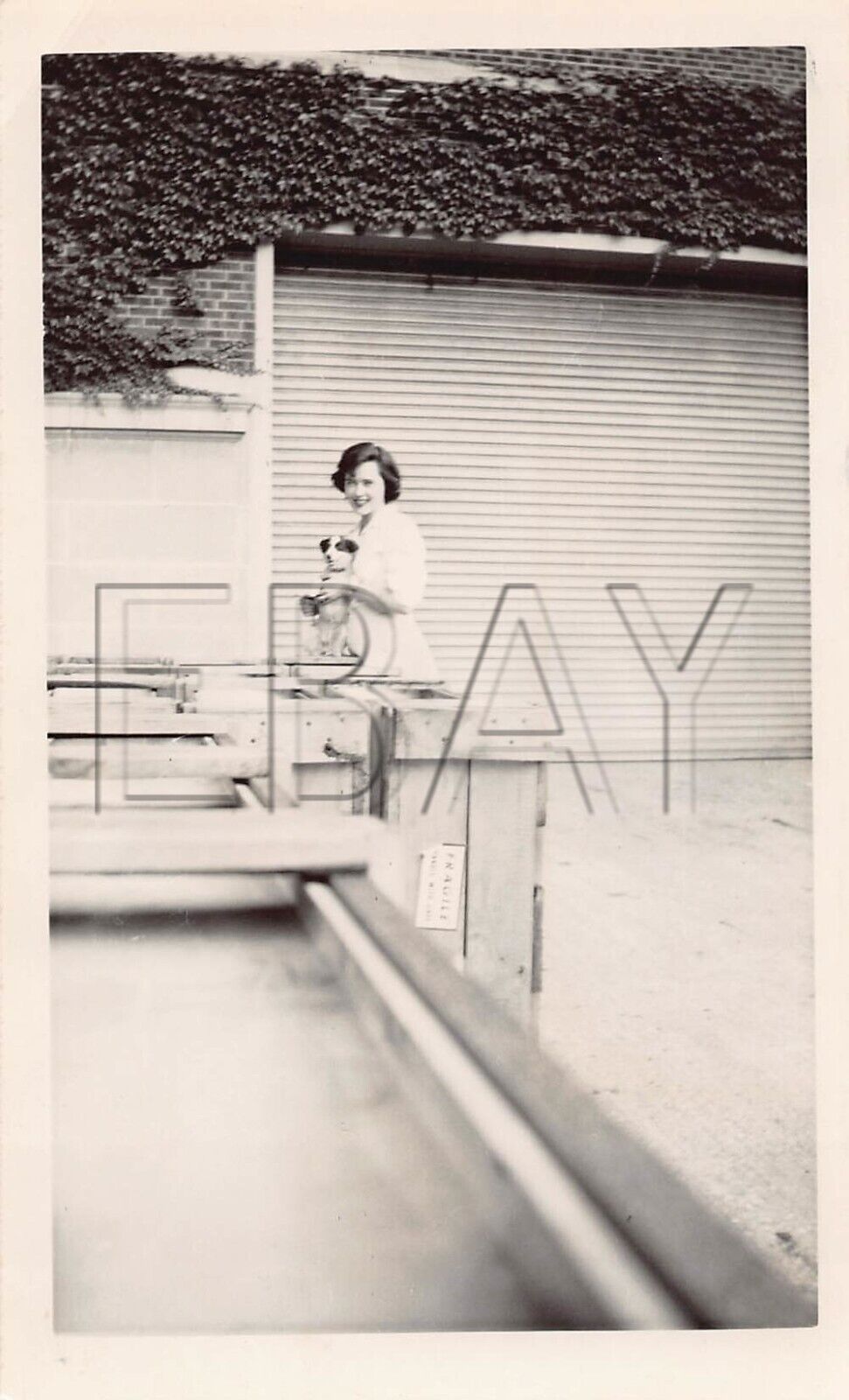 Old Photo Snapshot Woman Dog Music Hall Purdue University West Lafayette #19 Z7