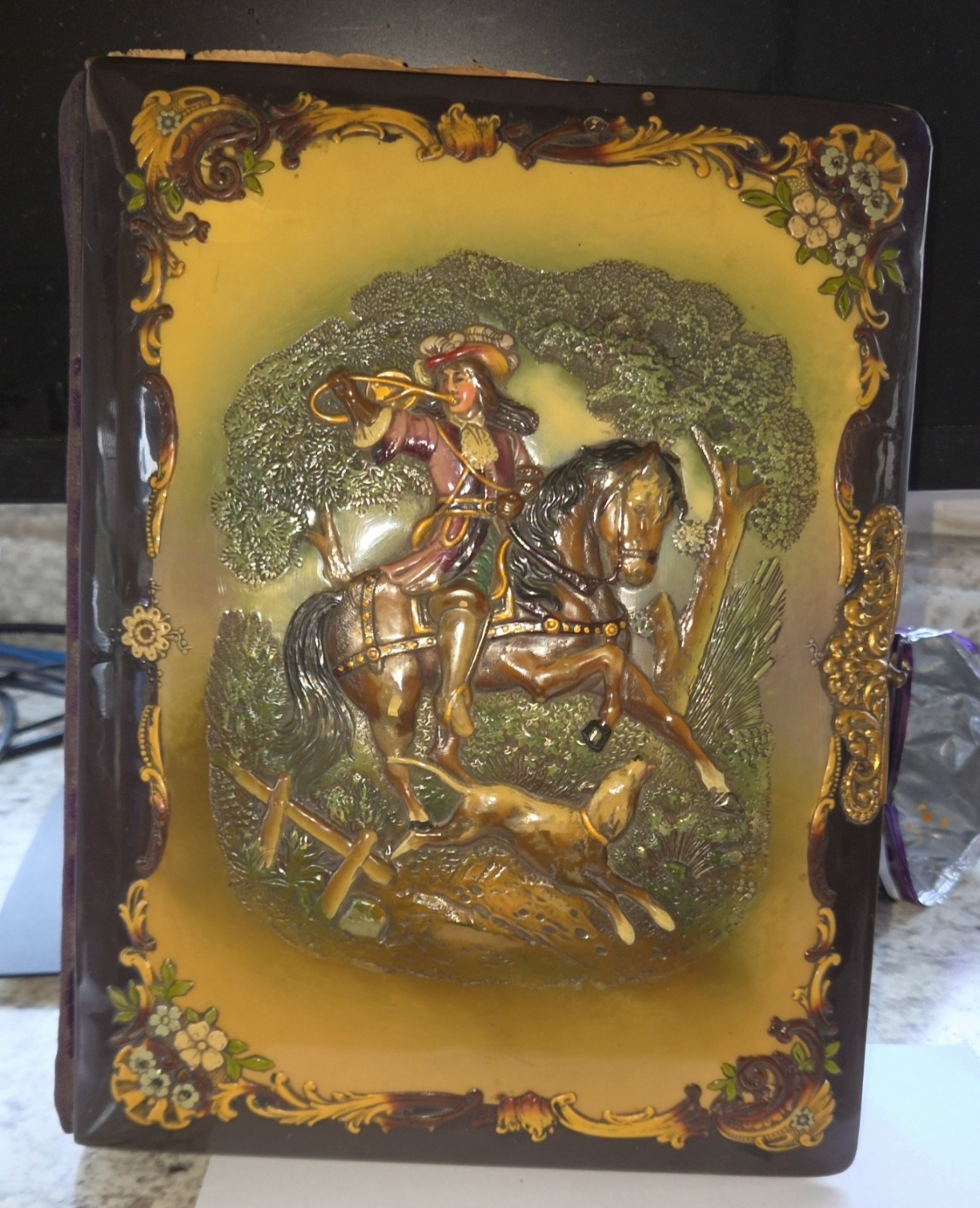 Antique Victorian-era 3D embossed celluloid Photo Album With Photos.