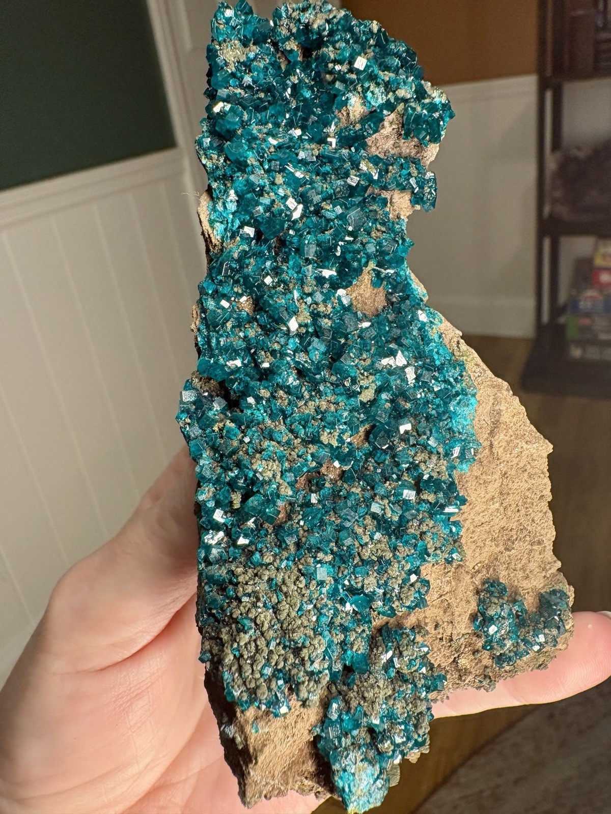 Large Dioptase Specimen on Matrix 5.5in
