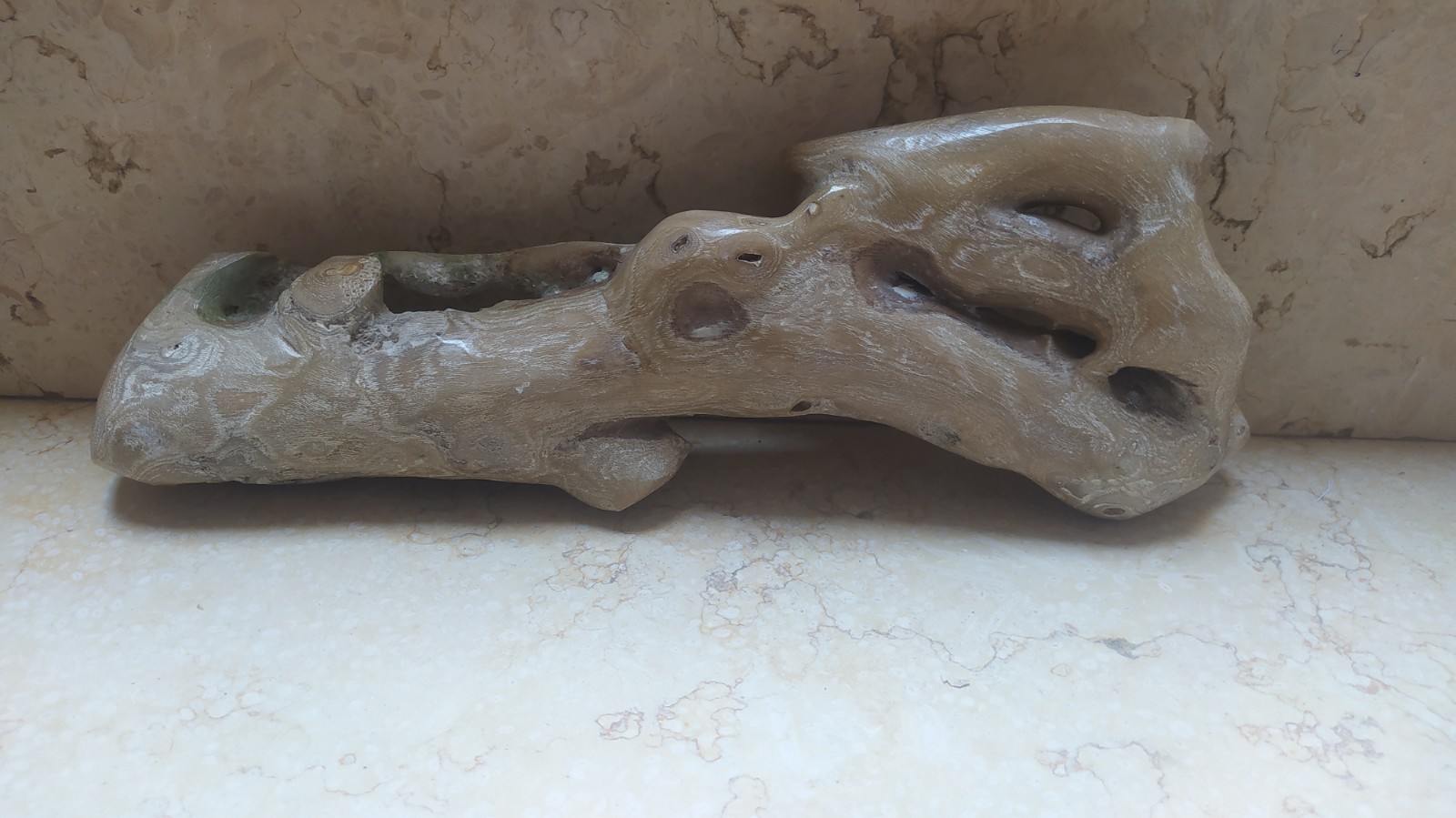 Coral Natural rare HUGE Branch 835grm 295mm Genuine specimen used for jewelry Coral Natural rare HUGE Branch 835grm 295mm Genuine specimen used for jewelry