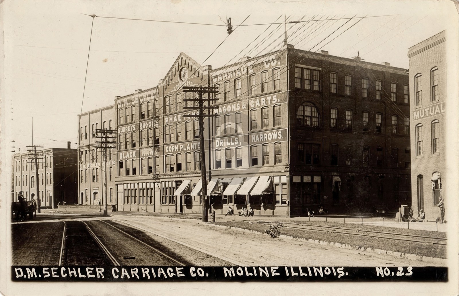 MOLINE IL D. M. Sechler Carriage Company Illinois 1911 RPPC Photo Postcard COPY MOLINE IL D. M. Sechler Carriage Company Illinois 1911 RPPC Photo Postcard COPY