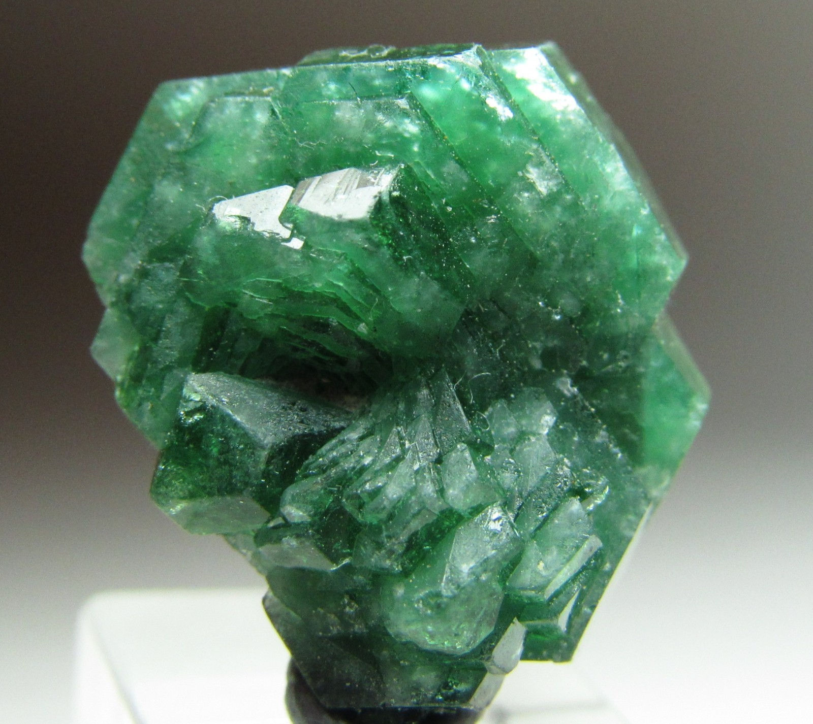 UNBELIEVABLE AESTHETIC CHROME UVITE TOURMALINE CRYSTAL MYANMAR UNBELIEVABLE AESTHETIC CHROME UVITE TOURMALINE CRYSTAL MYANMAR