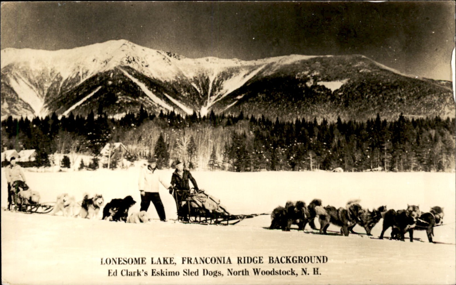 North Woodstock NH Sled Dogs c1920s-30s Real Photo Vintage Postcard bhn North Woodstock NH Sled Dogs c1920s-30s Real Photo Vintage Postcard bhn