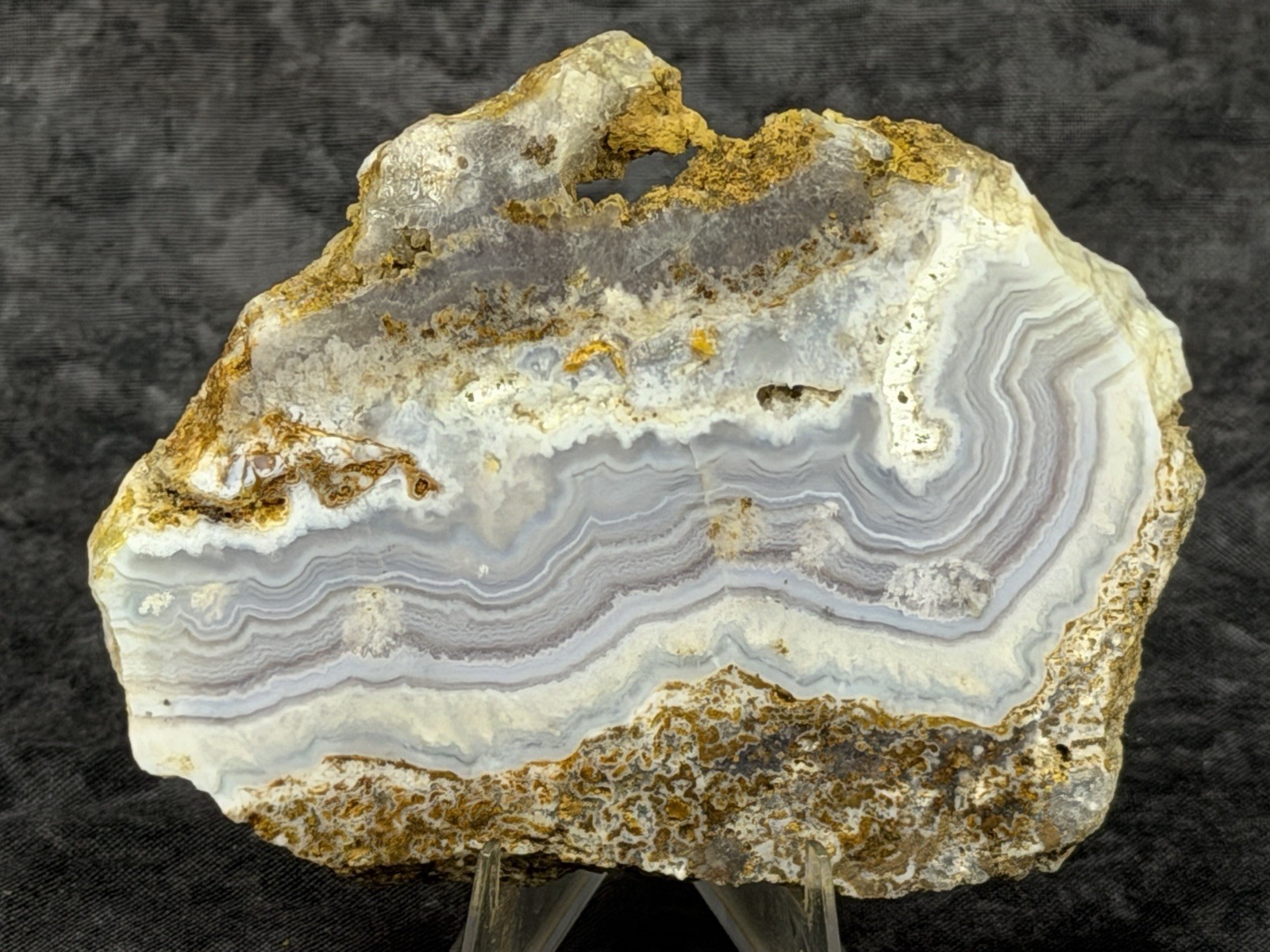 Beautiful Sow Belly Purple Lace Agate Slab, Lot#1010 Beautiful Sow Belly Purple Lace Agate Slab, Lot#1010