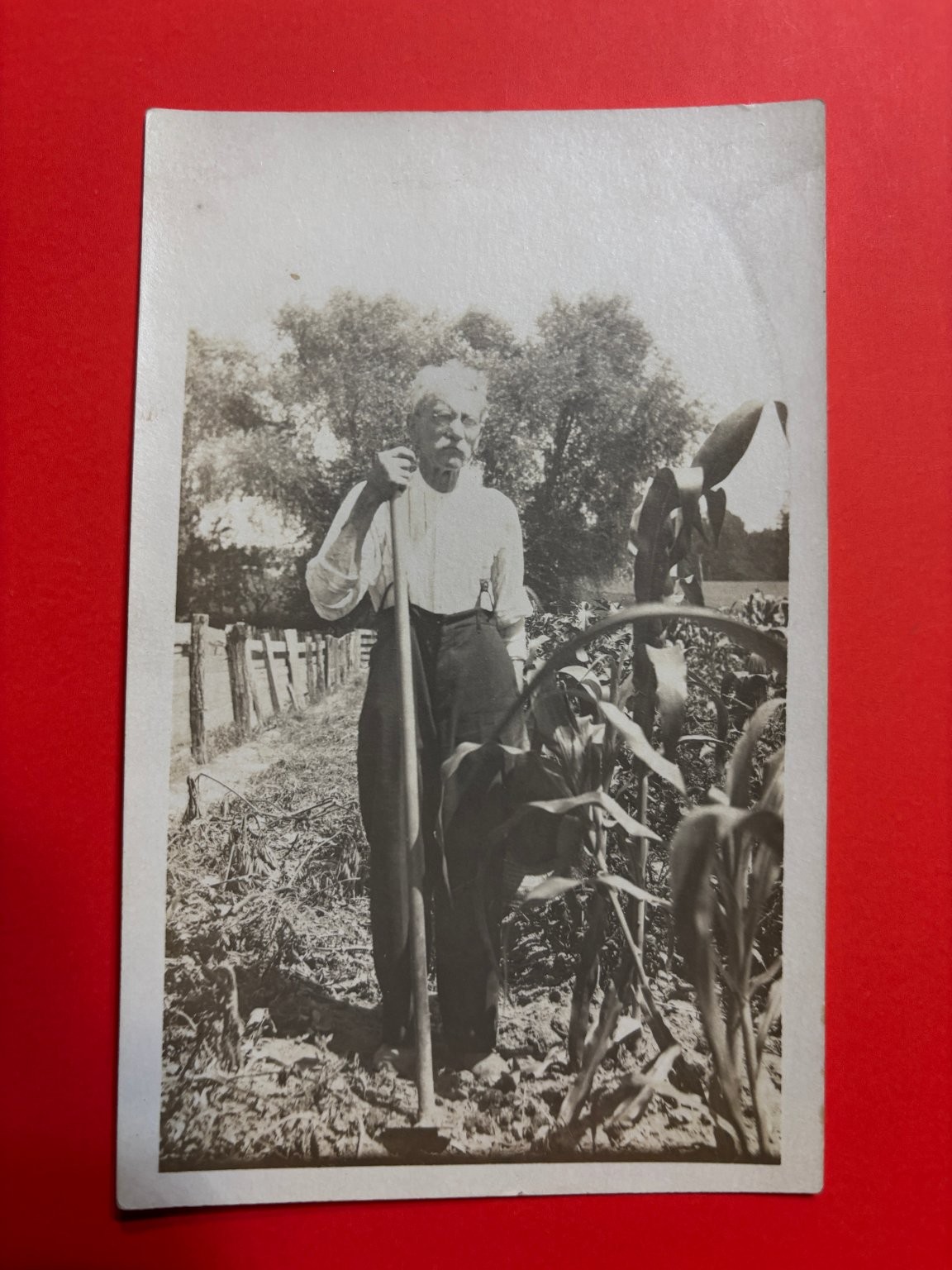 Antique RPPC Farmer Man Hoeing Field Postcard Real Photo Early 1900s Agriculture Antique RPPC Farmer Man Hoeing Field Postcard Real Photo Early 1900s Agriculture