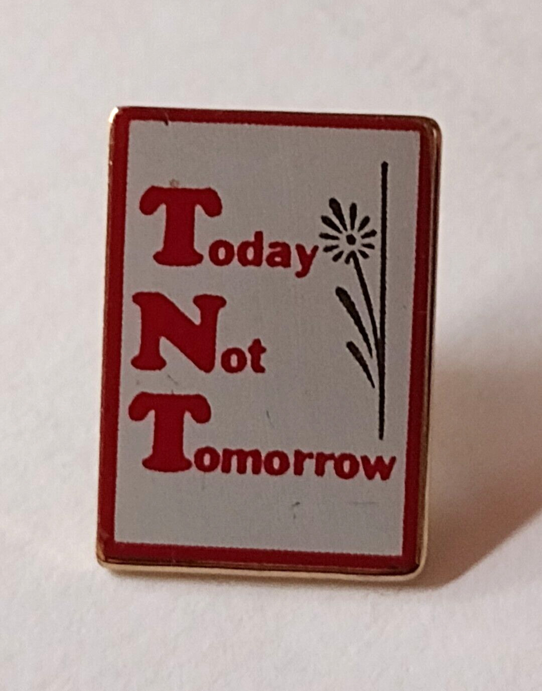 Today Not Tomorrow Lapel Pin Today Not Tomorrow Lapel Pin