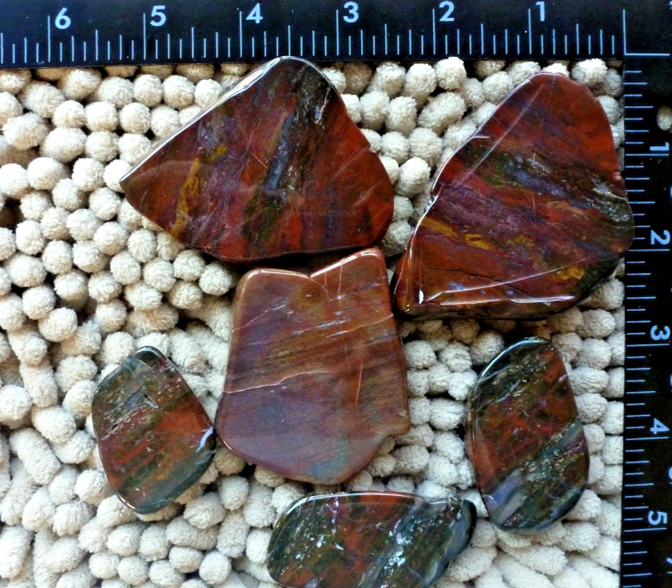 Arizona Rainbow Petrified Wood Polished Amazing Vibrant Coloring 10 oz