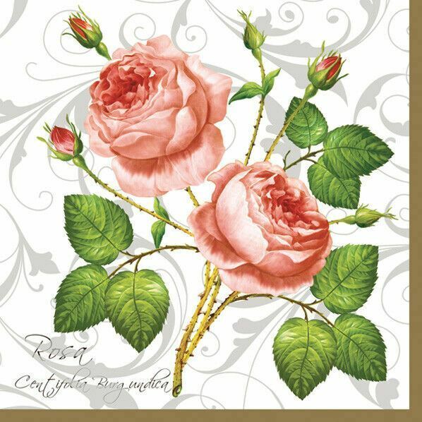 Two Individual Paper Luncheon Decoupage 3-Ply Napkins Rose Rosa Flowers New
