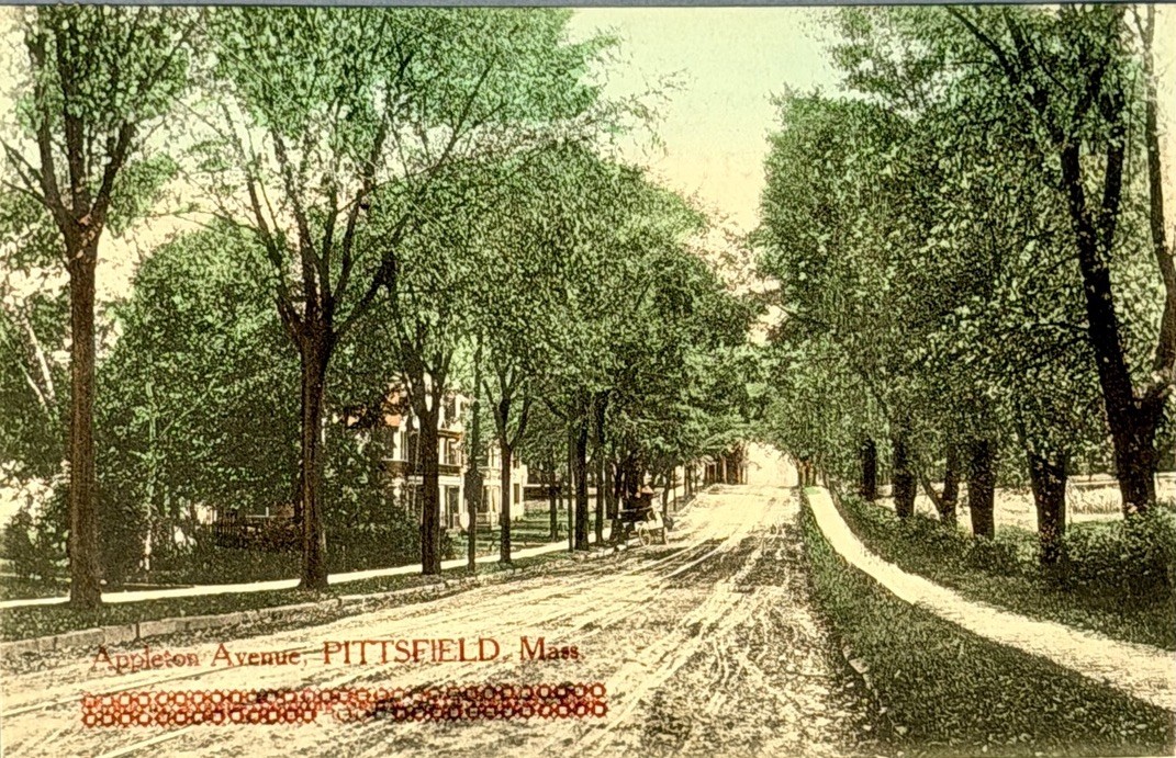 Pittsfield Massachusetts Appleton Avenue Antique Postcard 1908 Horse Carriage Pittsfield Massachusetts Appleton Avenue Antique Postcard 1908 Horse Carriage