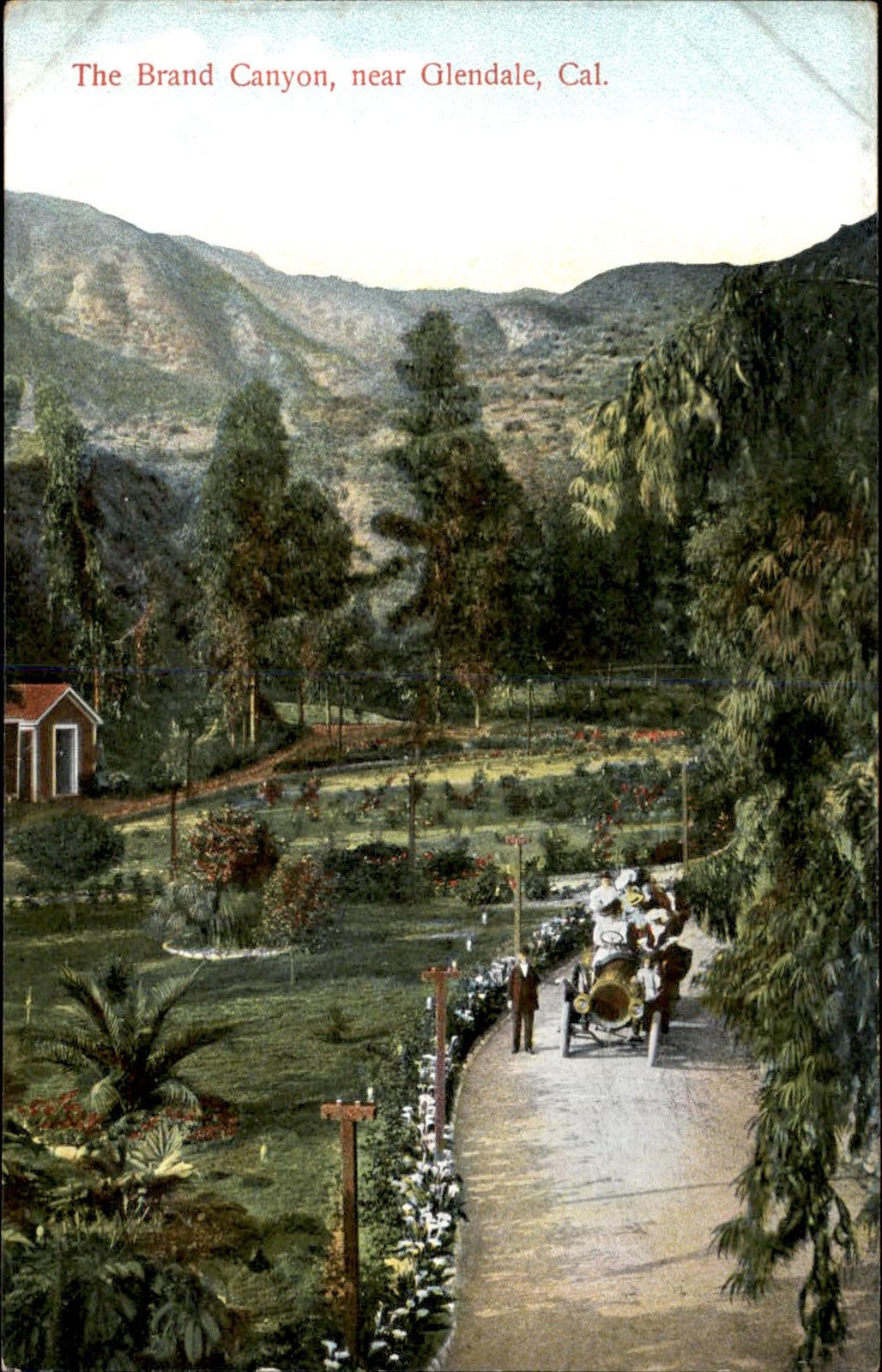 Glendale California CA Brand Canyon M. Rieder c1900s-10s Vintage Postcard Glendale California CA Brand Canyon M. Rieder c1900s-10s Vintage Postcard