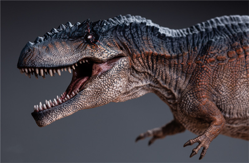 W-Dragon 1/35 Giganotosaurus Dinosaur Animal Figure Display Model Statue Boxed