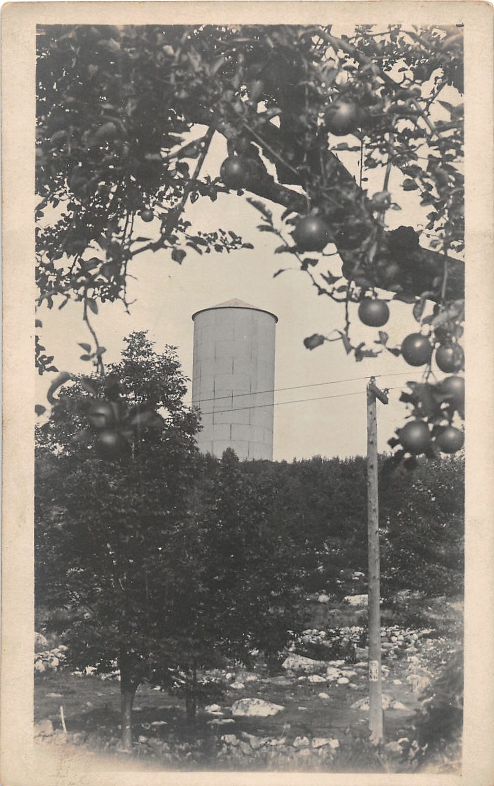 G79/ South Amherst Massachusetts RPPC Postcard c1910 Water Tower G79/ South Amherst Massachusetts RPPC Postcard c1910 Water Tower