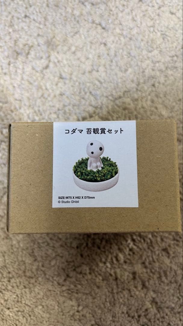 Princess Mononoke Kodama Moss Viewing Set Figure Studio Ghibli Japan New Princess Mononoke Kodama Moss Viewing Set Figure Studio Ghibli Japan New