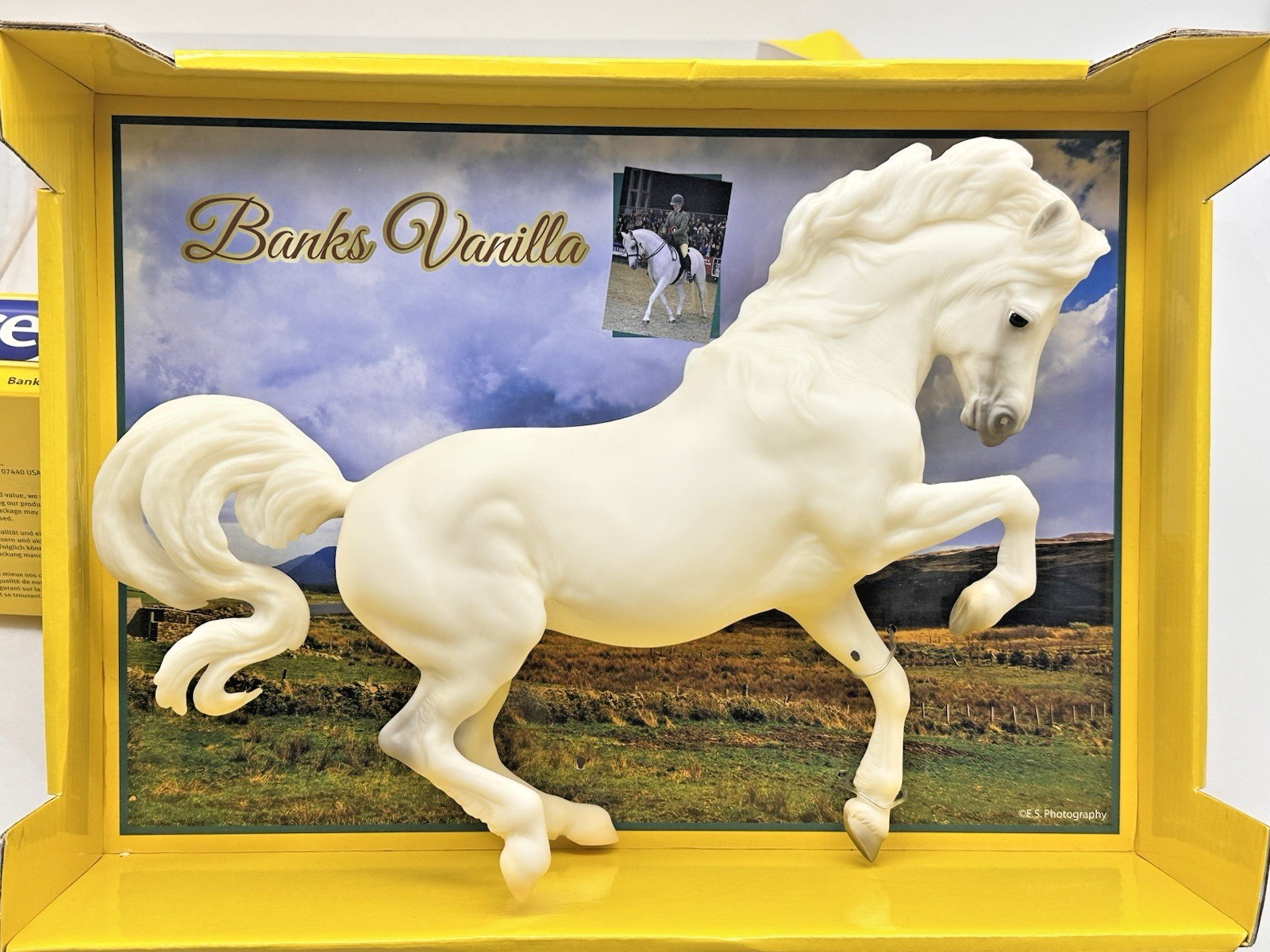 Banks Vanilla Champion Connemara Mare Horse #1753 Retired 2016 Preowned
