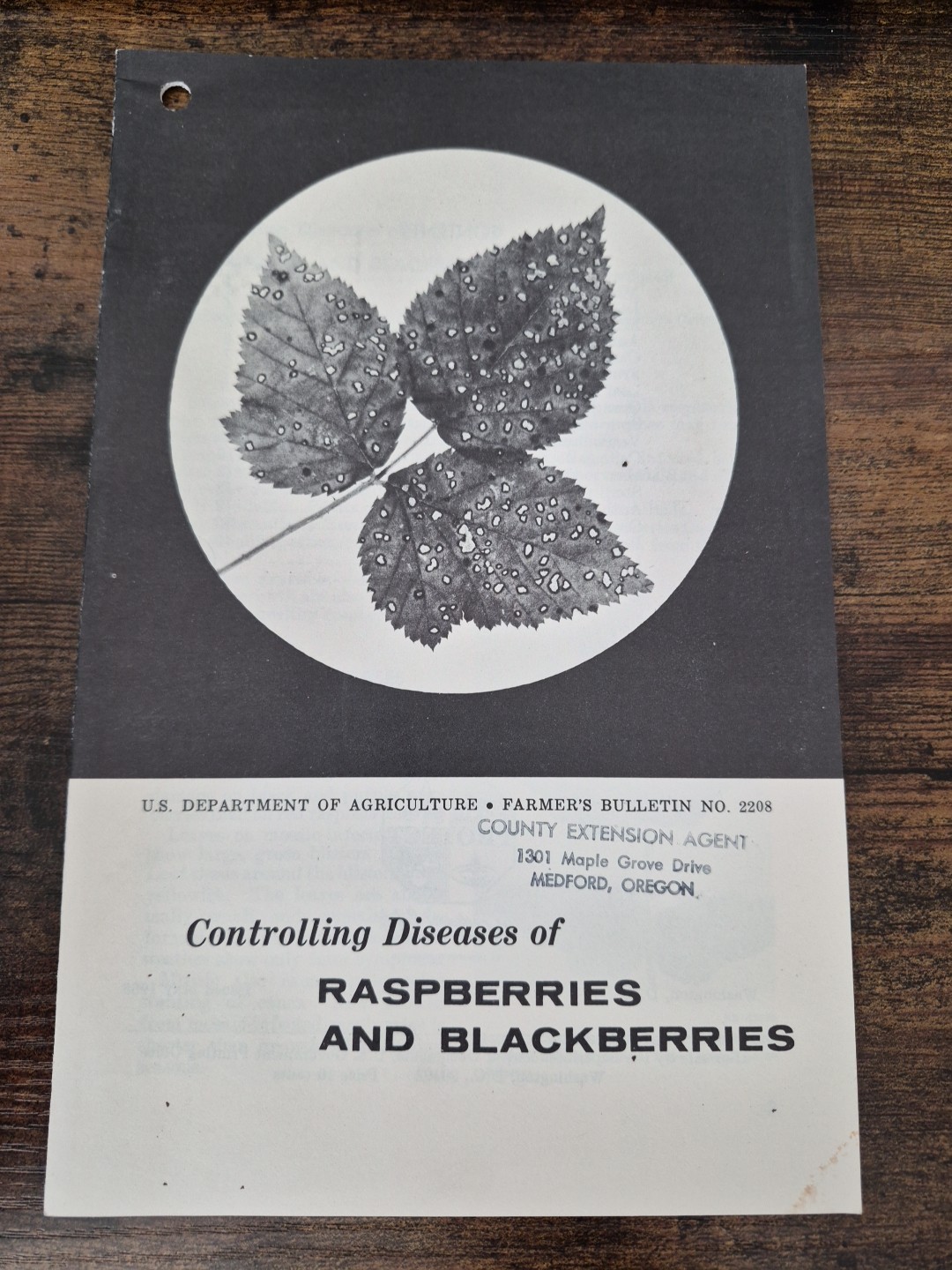 Vintage 1965 USDA Farmers Bulletin 2208 Diseases of Raspberries