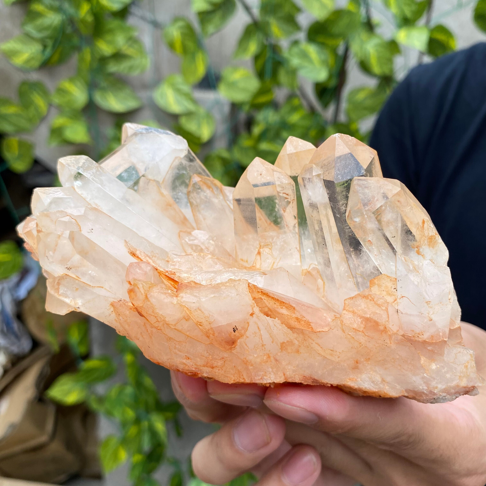 1.3lb Large Natural Clear White Quartz Crystal Cluster Rough Healing Specimen