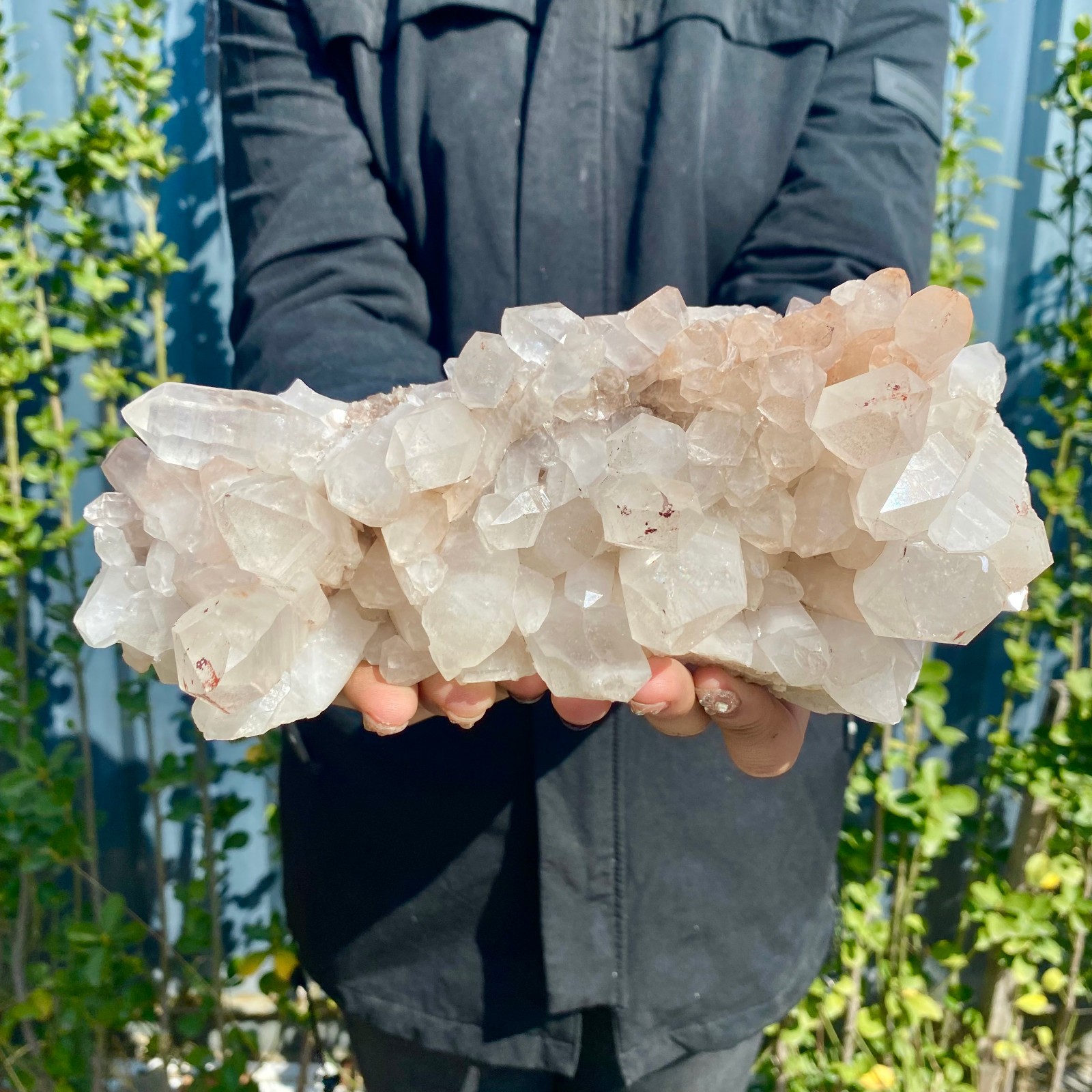 3.13LB A+++Large Natural white Crystal Himalayan quartz cluster /mineralsls