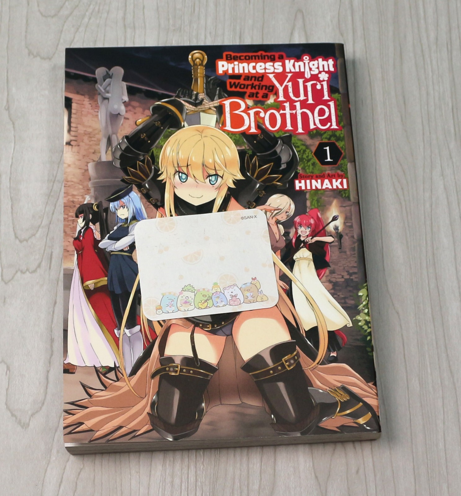 Becoming a Princess Knight and Working at a Yuri Brothel Vol 1 English Manga Becoming a Princess Knight and Working at a Yuri Brothel Vol 1 English Manga