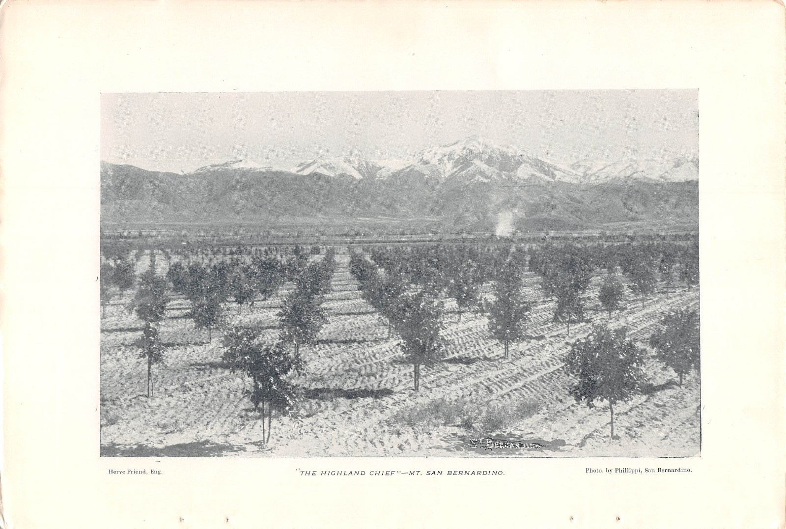 antique 1895 article HIGHLAND CA antique 1895 article HIGHLAND CA