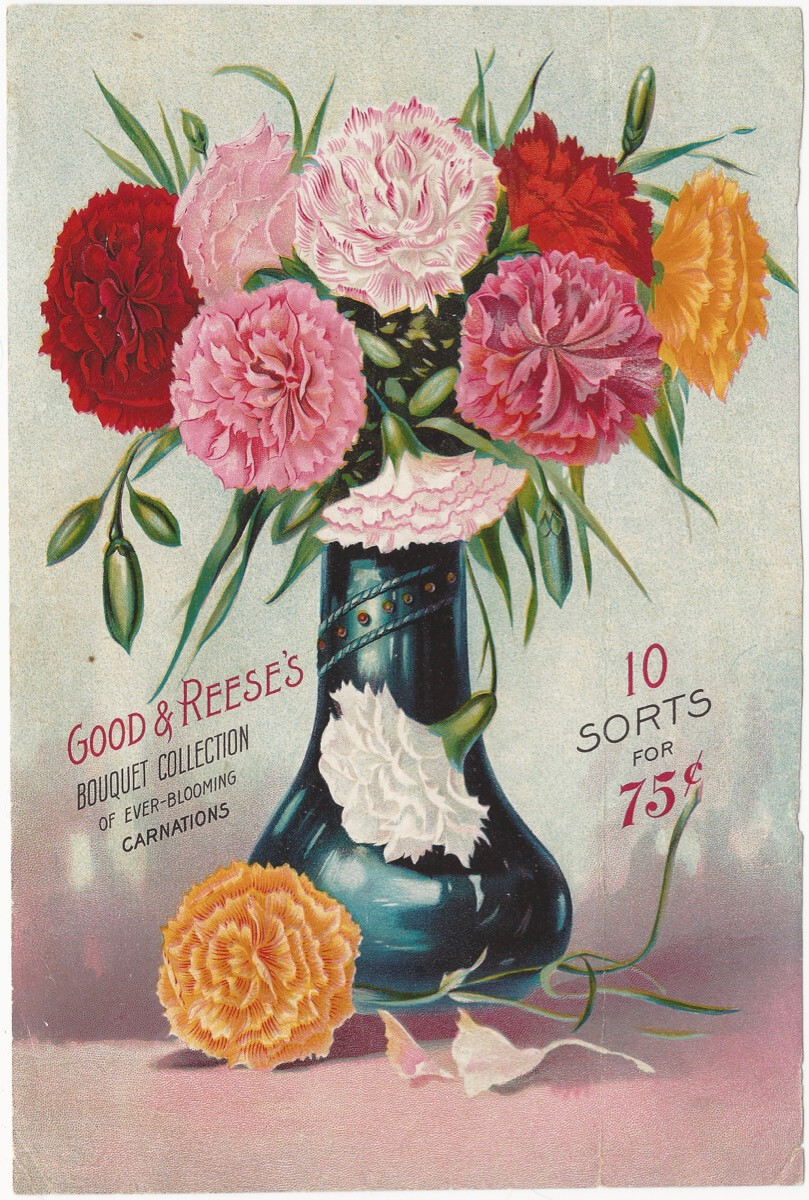 Carnations & Roses Boquets Flower Original Antique Color Garden Advertisement Carnations & Roses Boquets Flower Original Antique Color Garden Advertisement