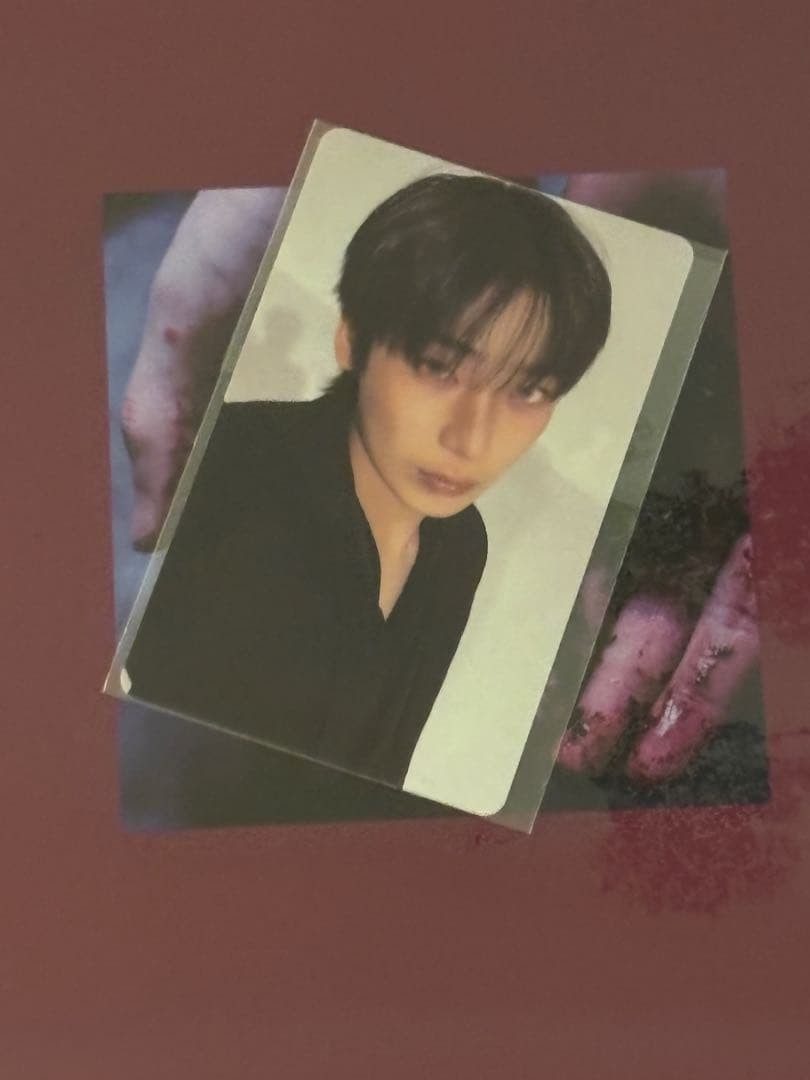 ENHYPEN the sin:bliss POPUP Purchase Bonus Sunoo Photo Card ENHYPEN the sin:bliss POPUP Purchase Bonus Sunoo Photo Card