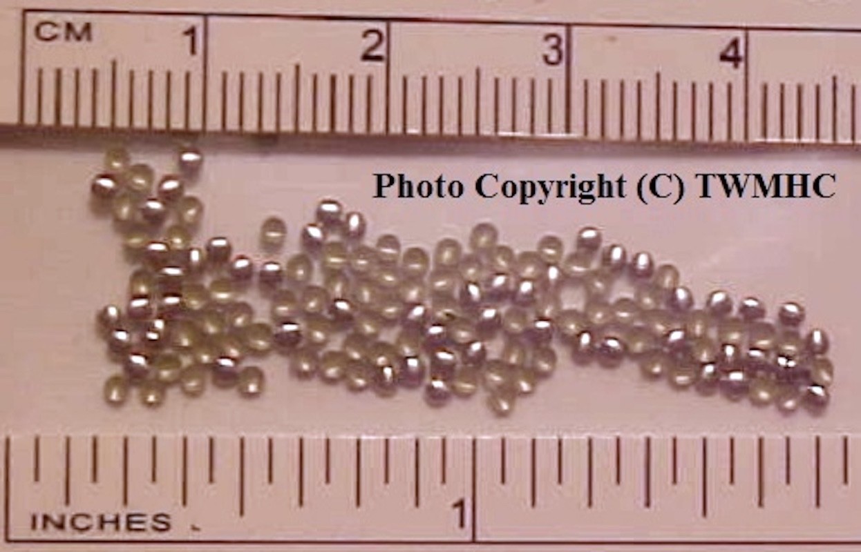 1.5mm ROUND NAILHEADS for Toy Model Horse Tack (Sold by the Gross) MATTE SILVER
