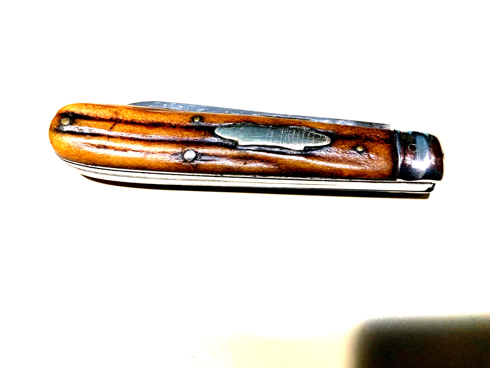 Union Cut Co  Olean NY  Stag Handle Vintage Antique 4”L