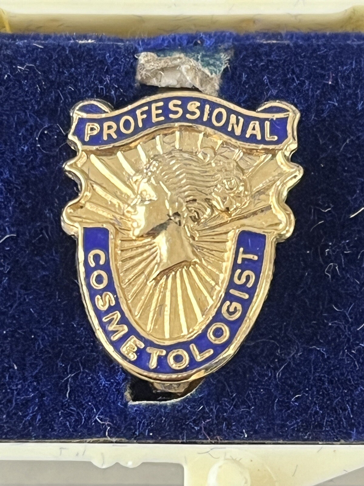 Vintage PROFESSIONAL COSMETOLOGIST Pin 1/20 10K GF Enameled Beautiful pin NOS Vintage PROFESSIONAL COSMETOLOGIST Pin 1/20 10K GF Enameled Beautiful pin NOS