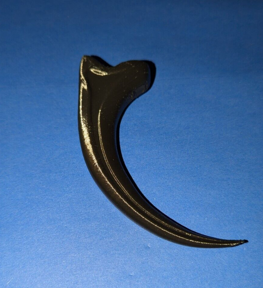 Raptor Claw Replica 3D Printed Black 5 Inches Raptor Claw Replica 3D Printed Black 5 Inches