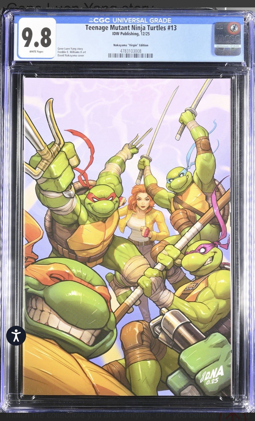 Teenage Mutant Ninja Turtles #13 Cover-David Nakayama 1:250 Virgin CGC 9.8