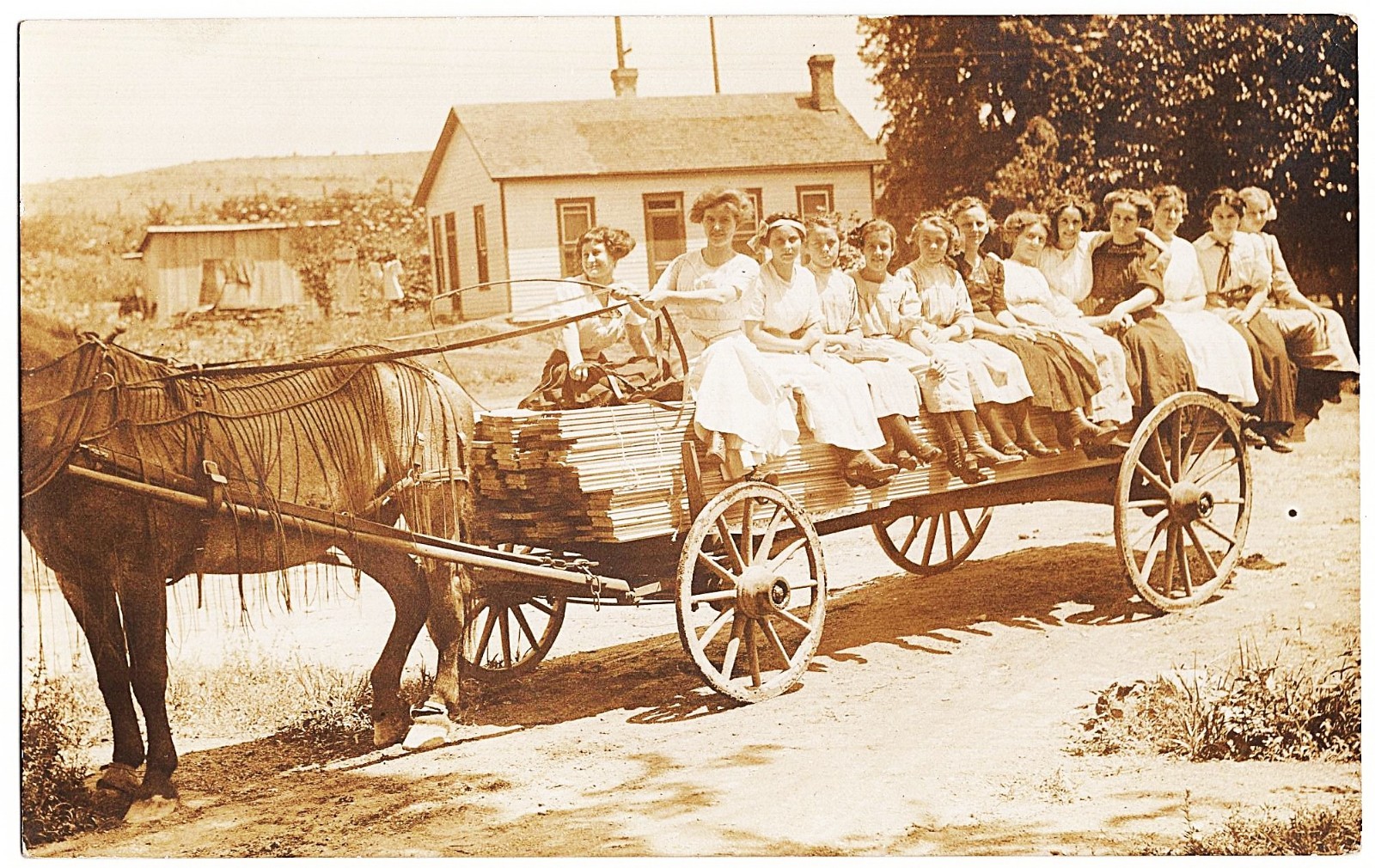 real photo Lumber Wagon Horse Drawn Women antique postcard RPPC real photo Lumber Wagon Horse Drawn Women antique postcard RPPC