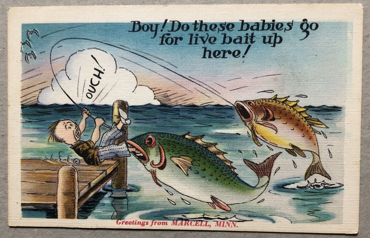 Vintage Marcell, Minnesota Comic Fish Postcard