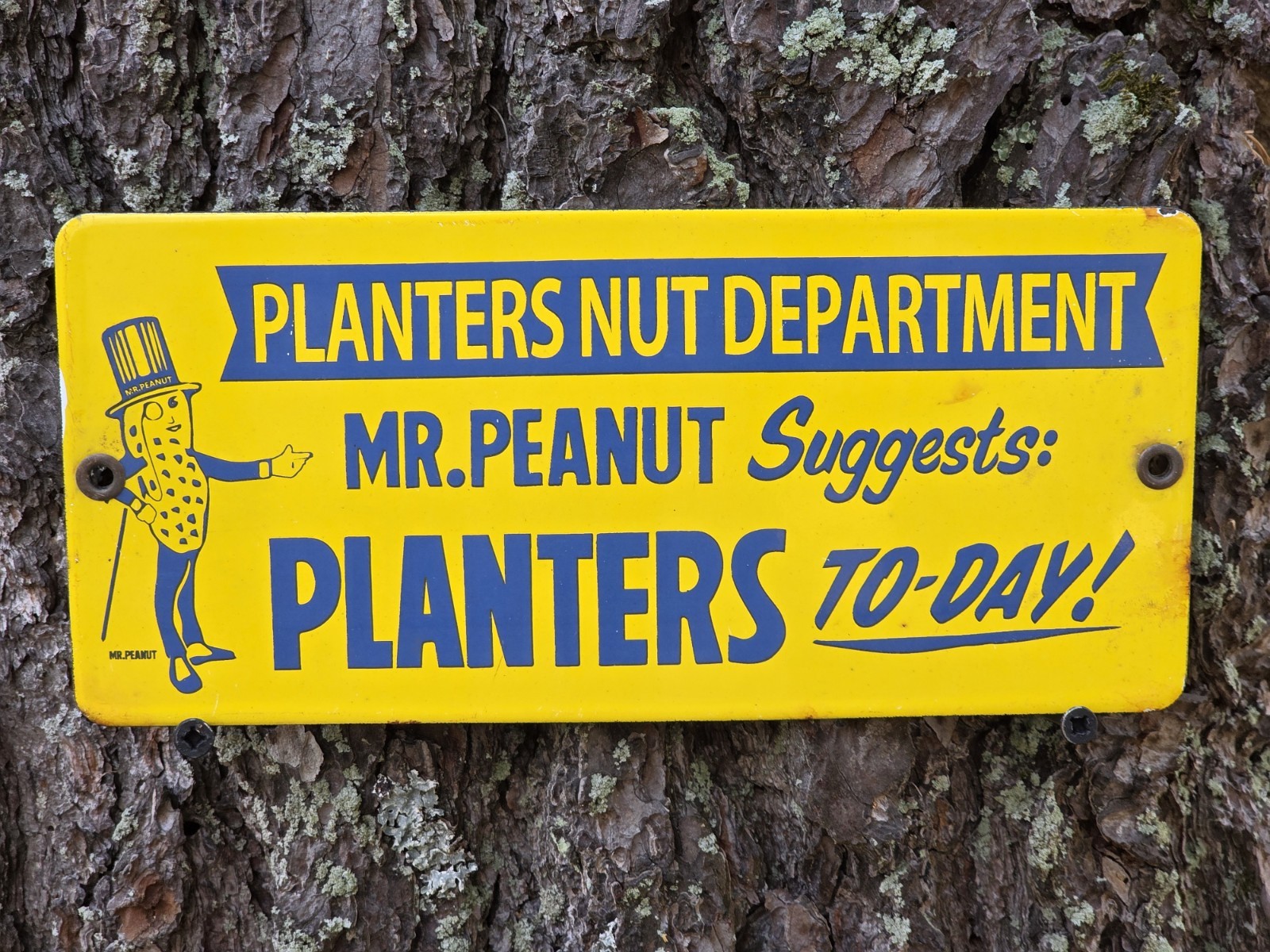 RARE VINTAGE PLANTER'S NUT DEPARTMENT PORCELAIN ENAMEL SIGN, APPX 4.5 RARE VINTAGE PLANTER'S NUT DEPARTMENT PORCELAIN ENAMEL SIGN, APPX 4.5