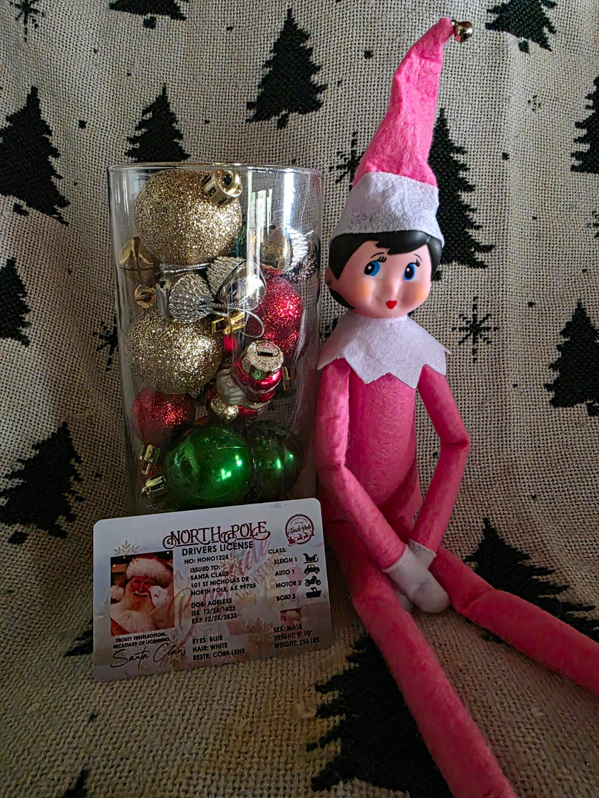 The Elf on the Shelf Pink Girl Doll w/ Santa's Driver's License The Elf on the Shelf Pink Girl Doll w/ Santa's Driver's License