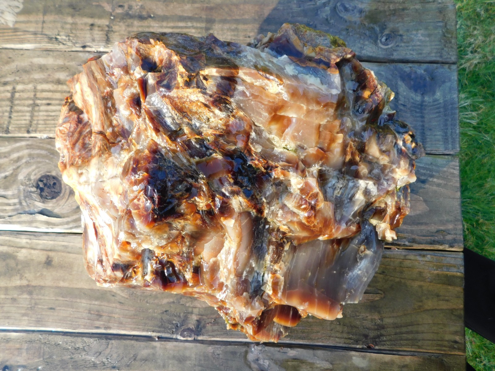 Giant Agate Limb Cast 62 lbs Central WA Vintage Excellent Quality Translucent Giant Agate Limb Cast 62 lbs Central WA Vintage Excellent Quality Translucent