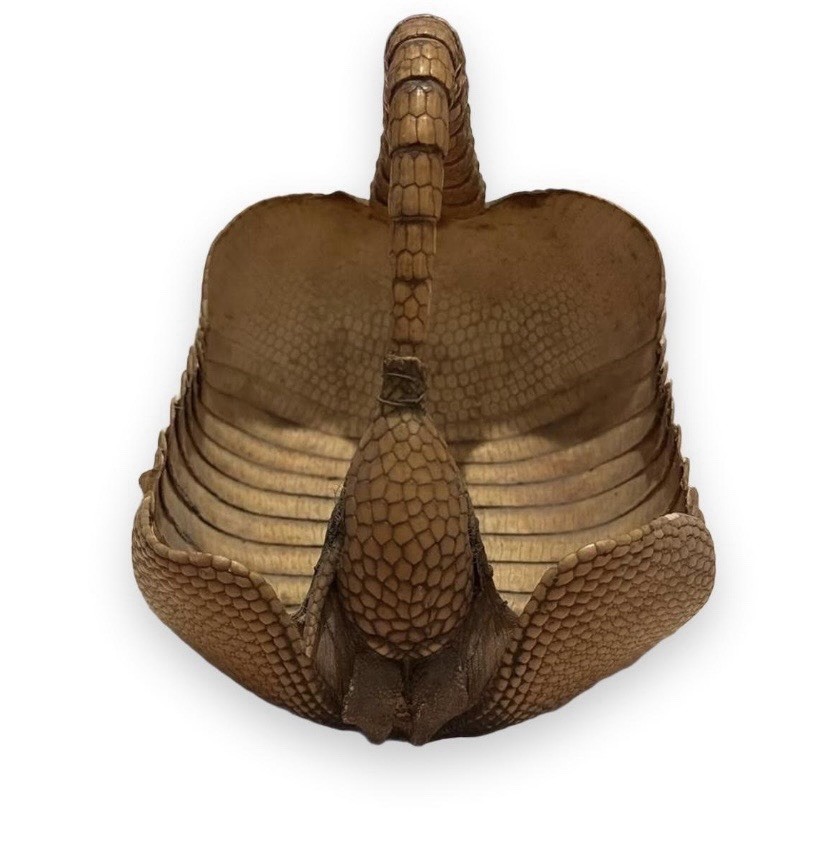 Vintage Armadillo Shell Basket Bowl Vintage Folk Art Taxidermy Vintage Armadillo Shell Basket Bowl Vintage Folk Art Taxidermy