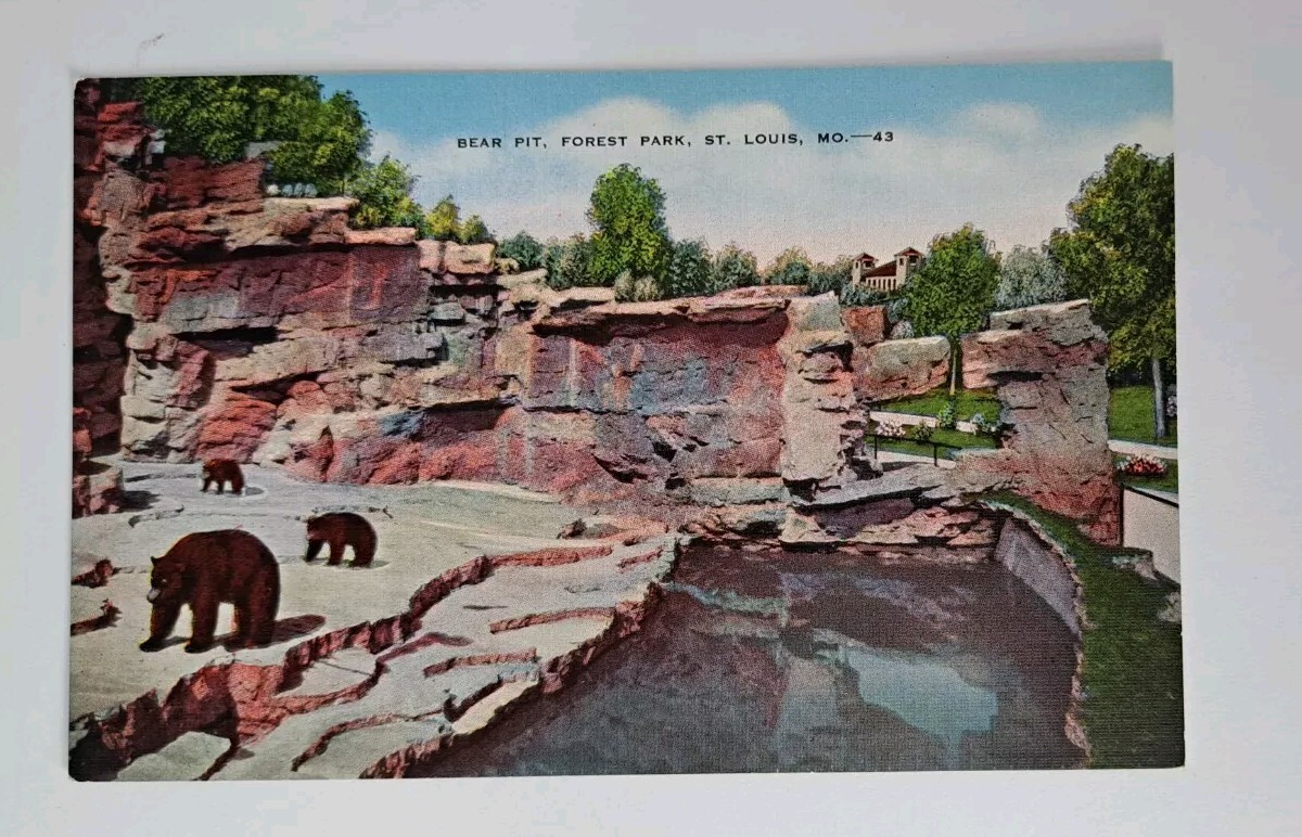 St Louis MO-Missouri, Bear Pit in Forest Park Vintage Souvenir Postcard St Louis MO-Missouri, Bear Pit in Forest Park Vintage Souvenir Postcard