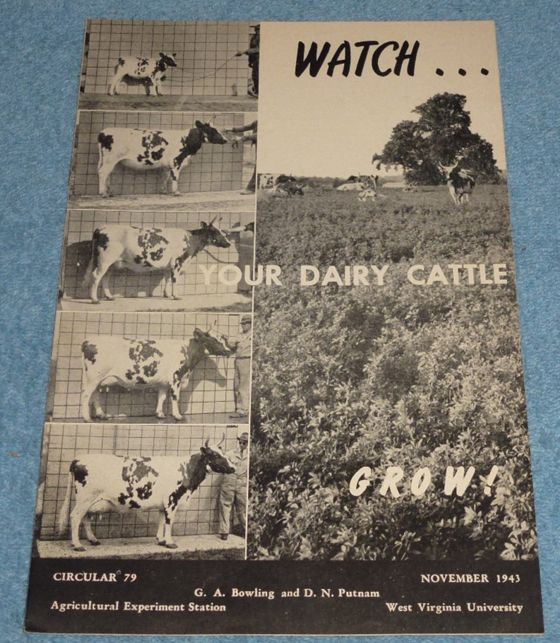 1943 West Virginia University Agriculture Circular Watch Your Dairy Cattle Grow 1943 West Virginia University Agriculture Circular Watch Your Dairy Cattle Grow