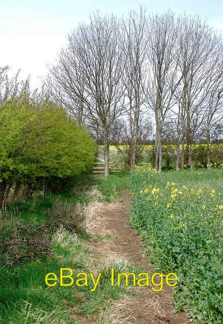 Photo 6x4 Gravel Hill Farm Swine Ganstead Field boundaries south of Grav c2008 Photo 6x4 Gravel Hill Farm Swine Ganstead Field boundaries south of Grav c2008