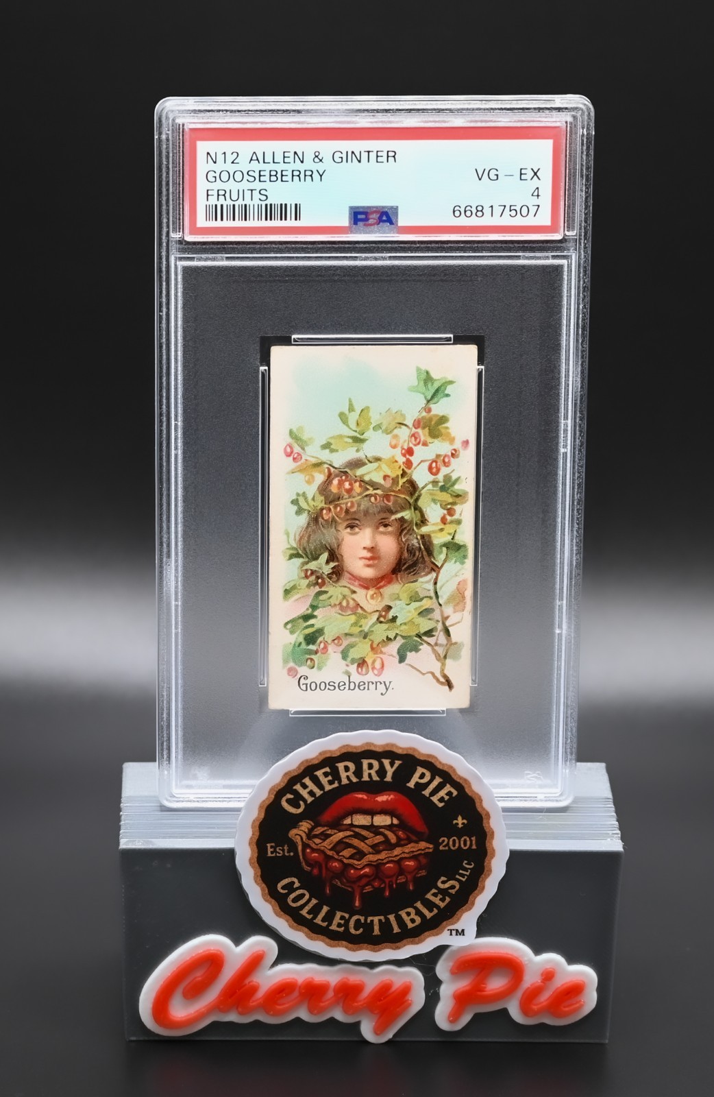 1891 N12 Allen & Ginter Fruits Gooseberry PSA 4 VG-EX Antique Tobacco Card