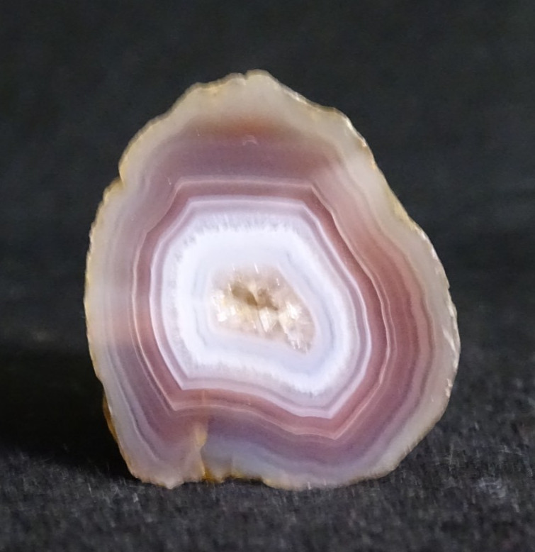 Mozambique Agate Half Nodule Collector Specimen Rock Mozambique Mozambique Agate Half Nodule Collector Specimen Rock Mozambique