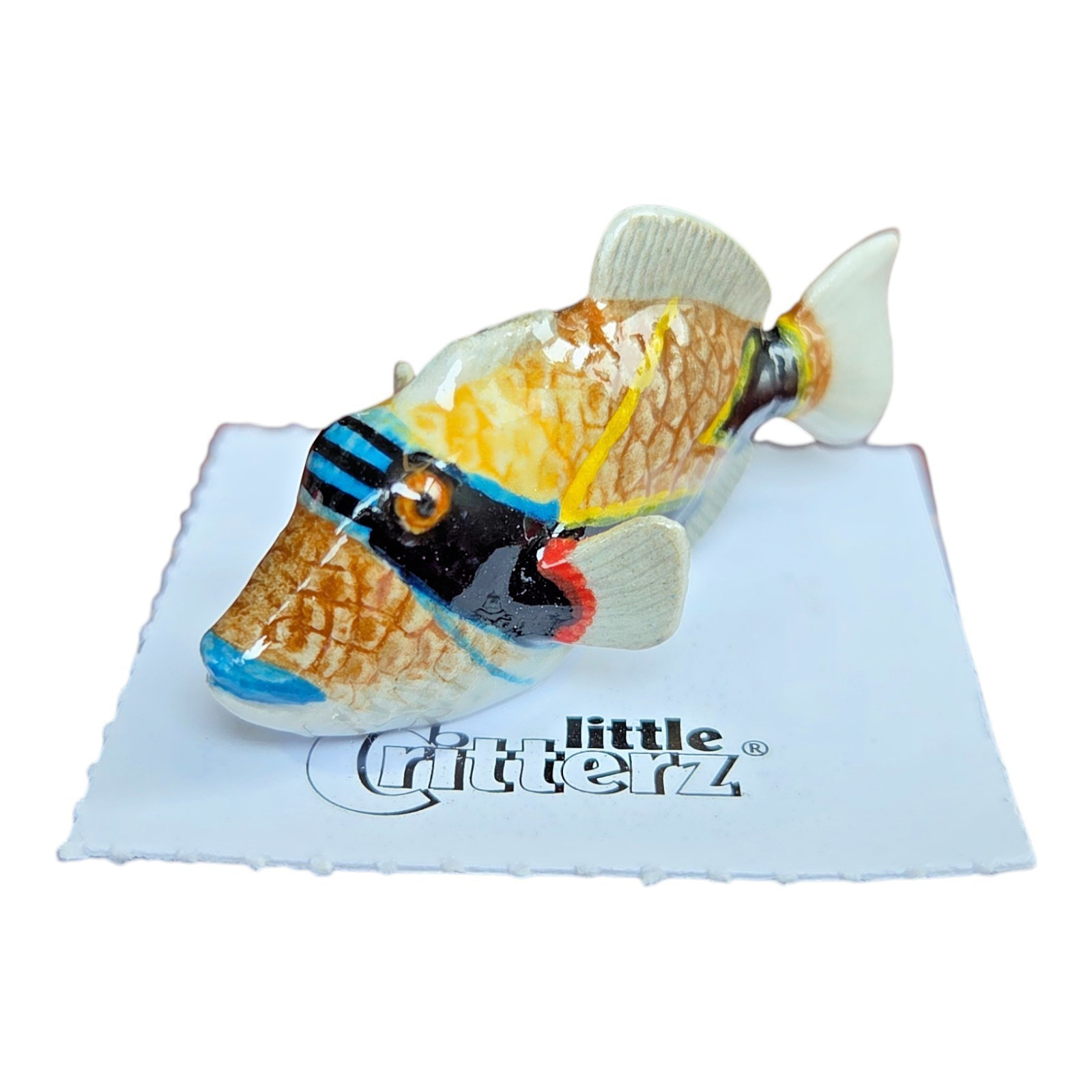 LITTLE CRITTERZ Fish Reef Triggerfish \ LITTLE CRITTERZ Fish Reef Triggerfish \